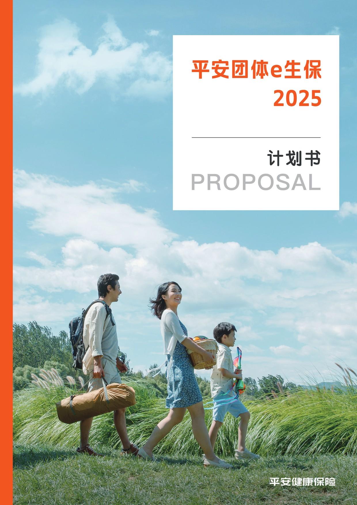 平安团体医疗2025